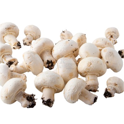 Шампиньоны свежие 500 г - купить в Зунде-Толге